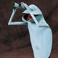 Birdwatcher Frog
