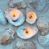 Boxed Set of 3 Oyster Candles