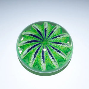 Green Sea Urchin