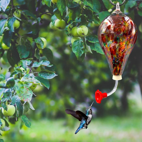 Glass Hummingbird Feeder