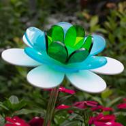 Peacock Lotus Florescent Flower