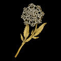 Queen Anne's Lace Brooch