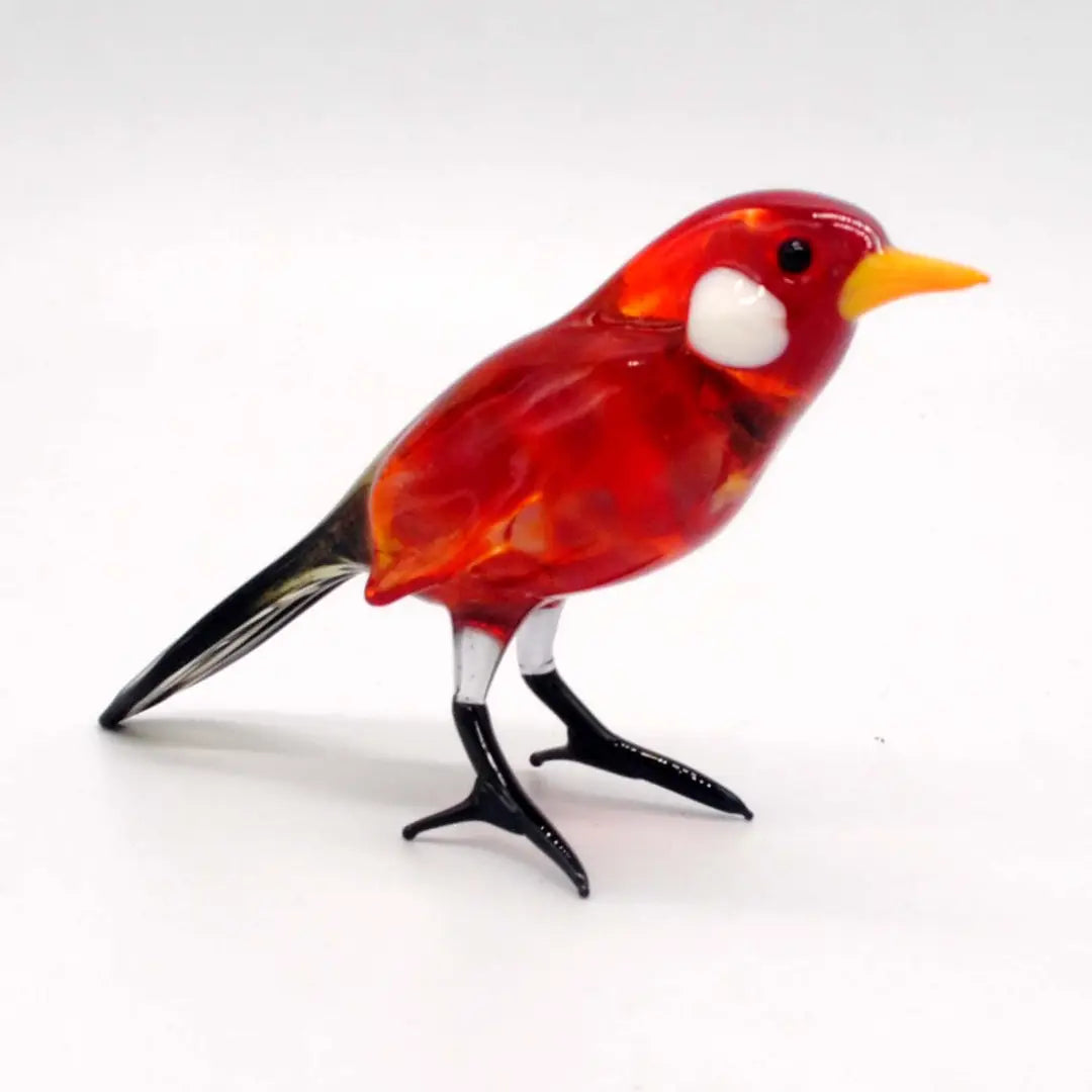 Glass Robin