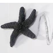 Graphite Drawing Sculpture