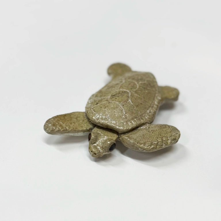 Turtles