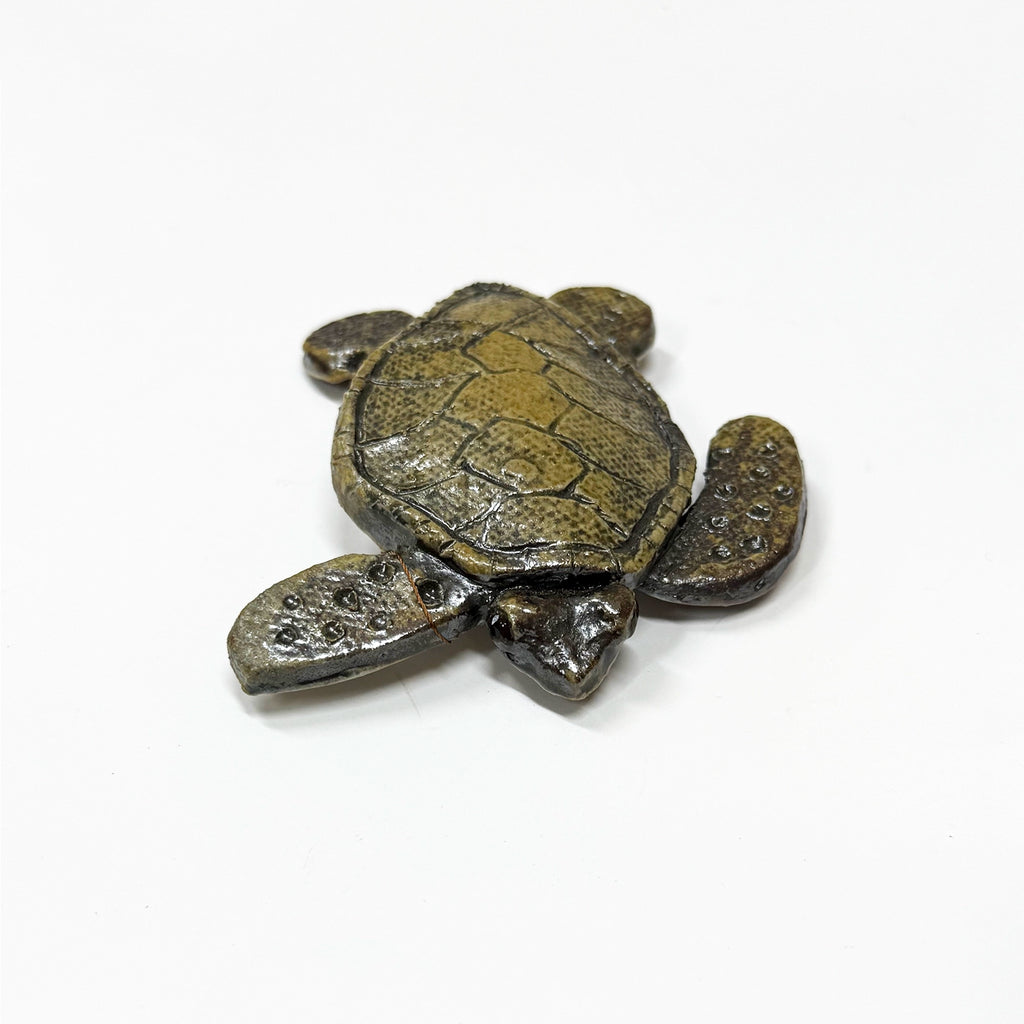 Turtles
