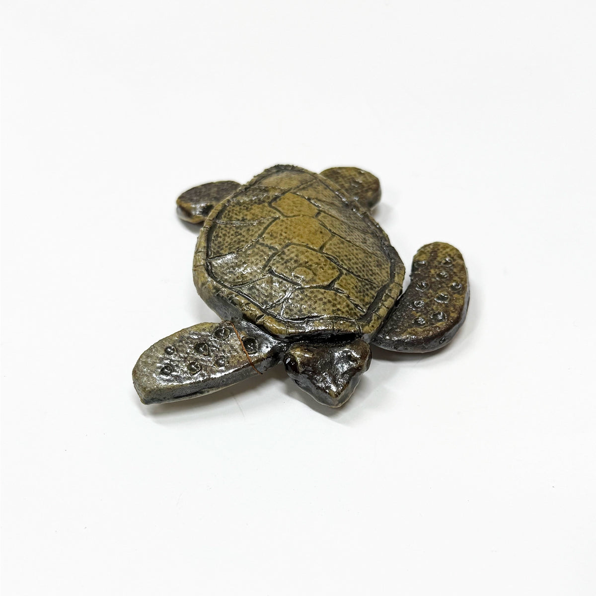 Turtles
