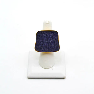 Brazos Ring