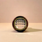 Insect Eye Teleidoscope