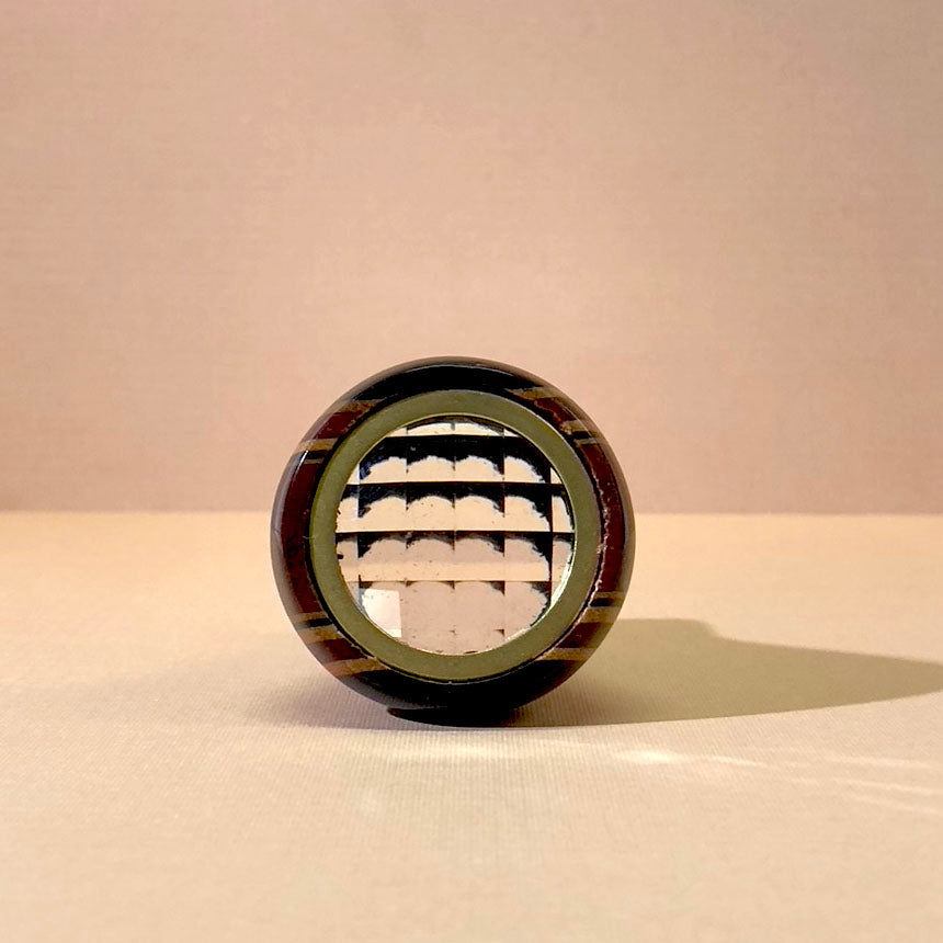 Insect Eye Teleidoscope