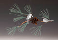 Carolina Chickadee on Pine Branch