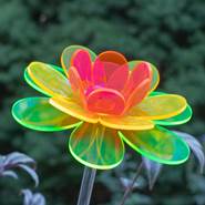 Cosmos Lotus Garden Stake