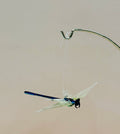 Glass Dragonfly Ornament