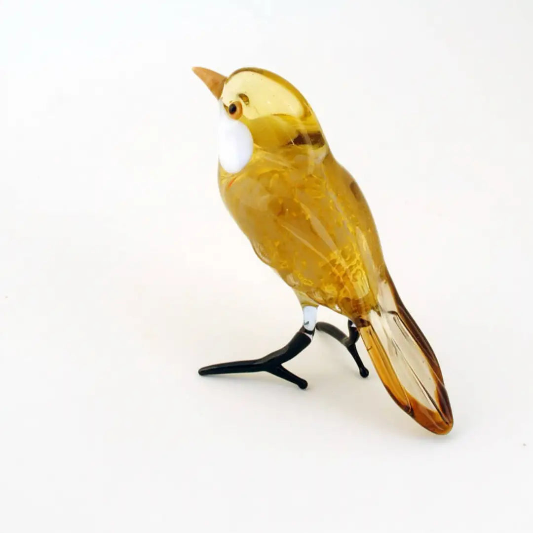 Glass Wren