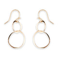 Double Link Dangle Earrings