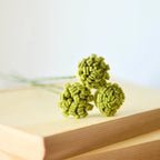 Greenery Button Stem