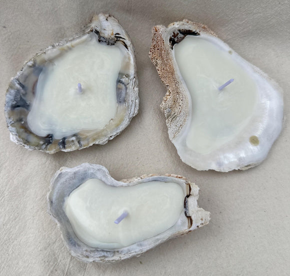 Oyster Candle