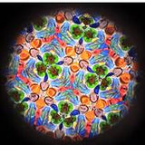 Wood Kaleidoscope with 7" Wheel