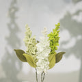 Lilac Stem