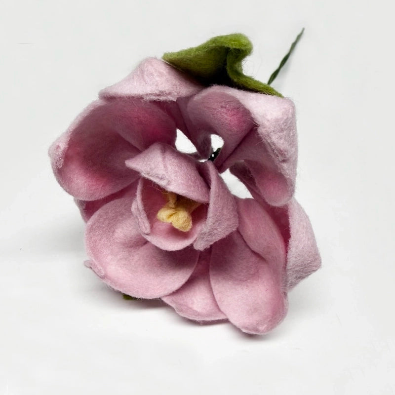 Magnolia Stem
