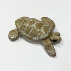 Turtles