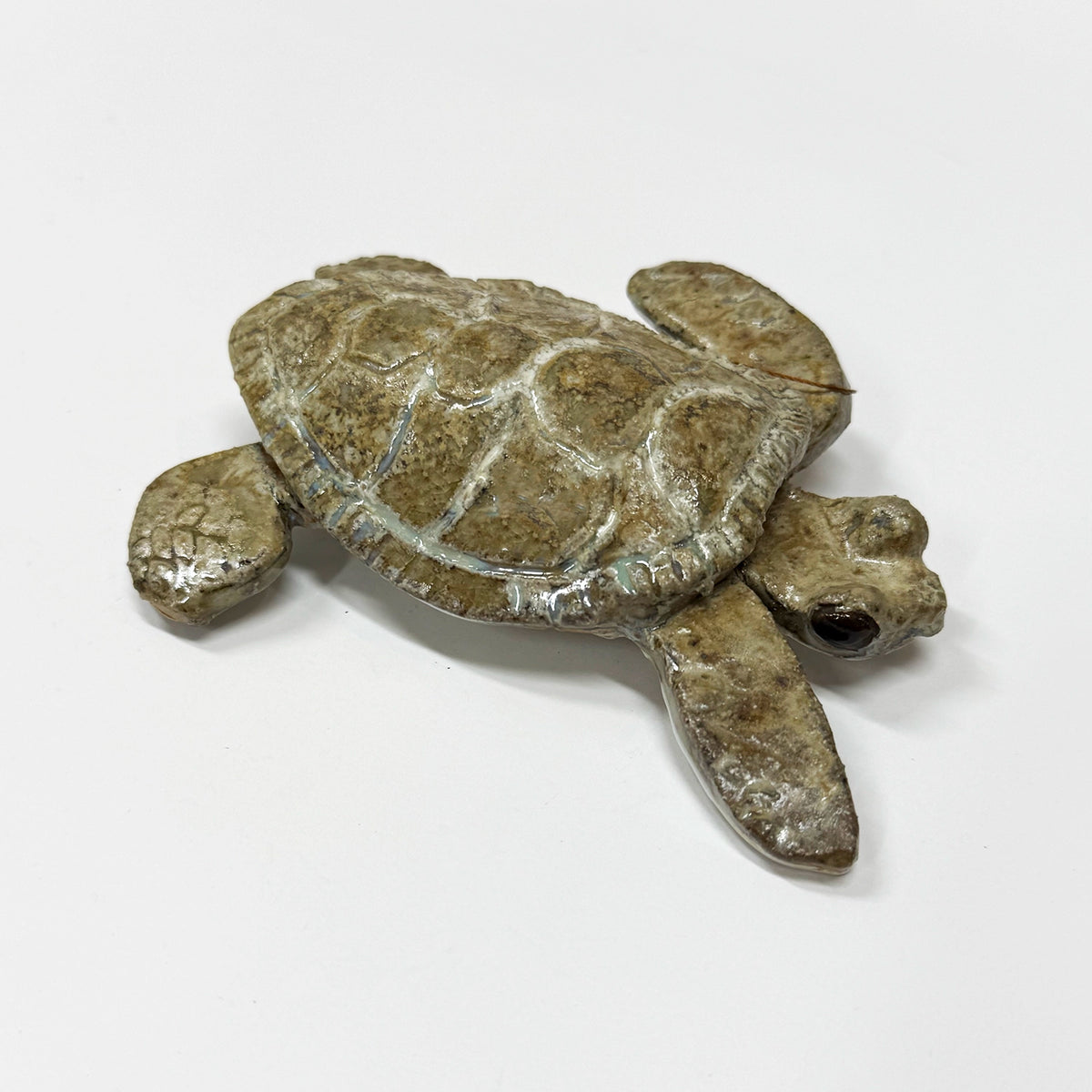Turtles