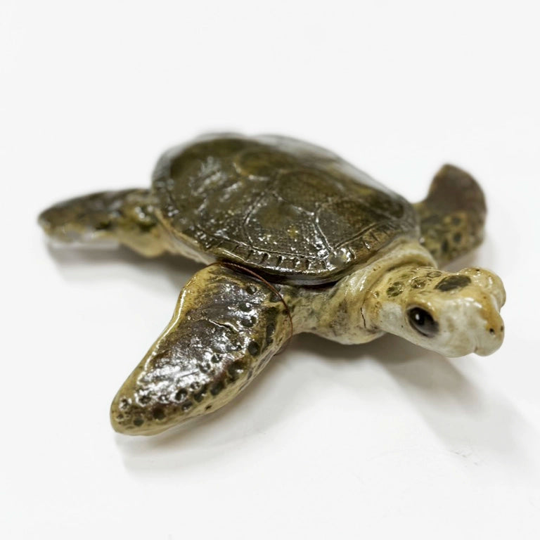 Turtles