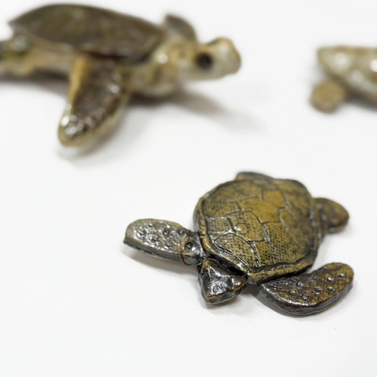 Turtles