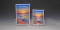 Medium Wavy Glass Frame