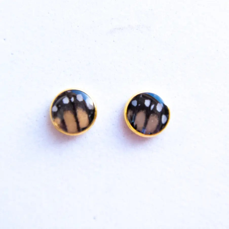 Monarch Butterfly Wing Earrings
