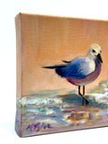 SEAGULL oil painting by Michele Tyler