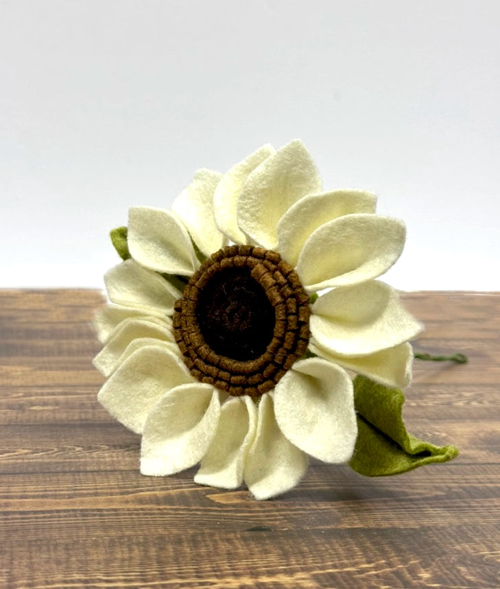 White Sunflower