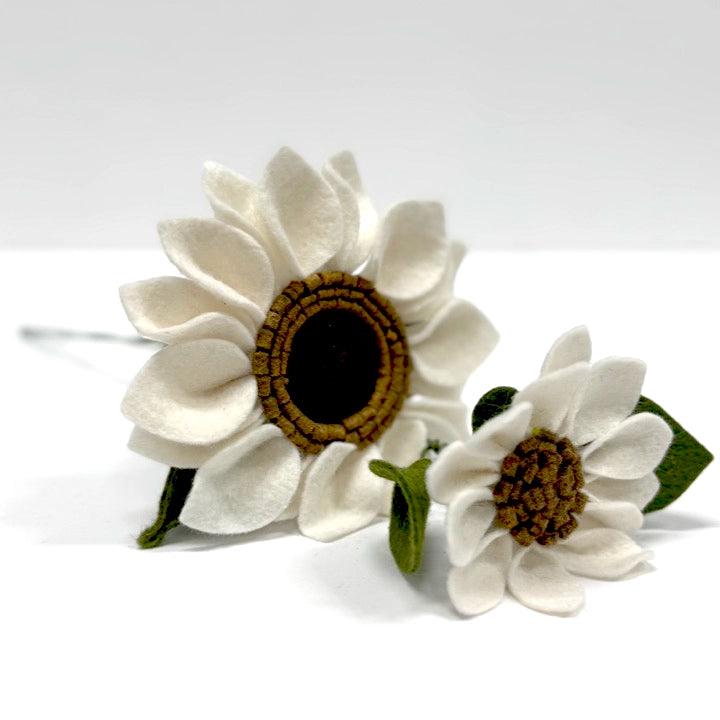 White Sunflower