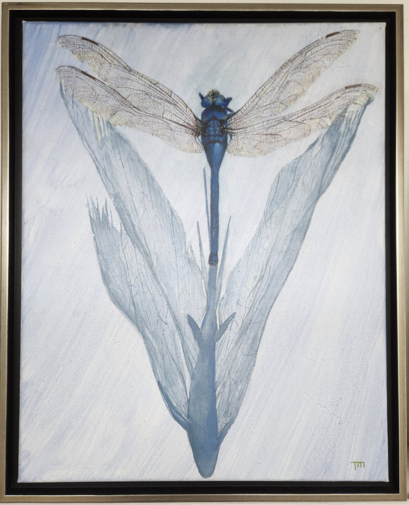 SHADOW PLAY original acrylic by Tom McElroy