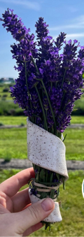 Dried Flower Wall Vase