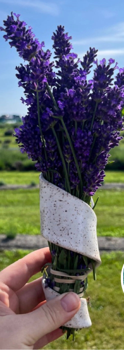 Dried Flower Wall Vase