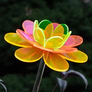 Wanda Lotus Fluorescent Flower