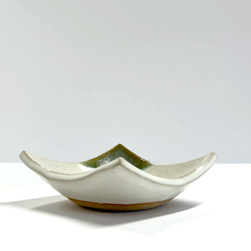 Small Wonton Dish