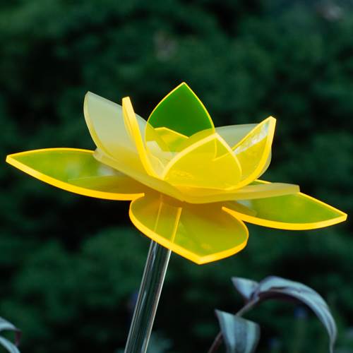 Yellow Daffodil Florescent Flower