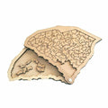 South Carolina Puzzle