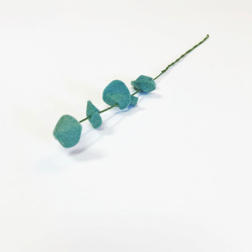 Eucalyptus Stem