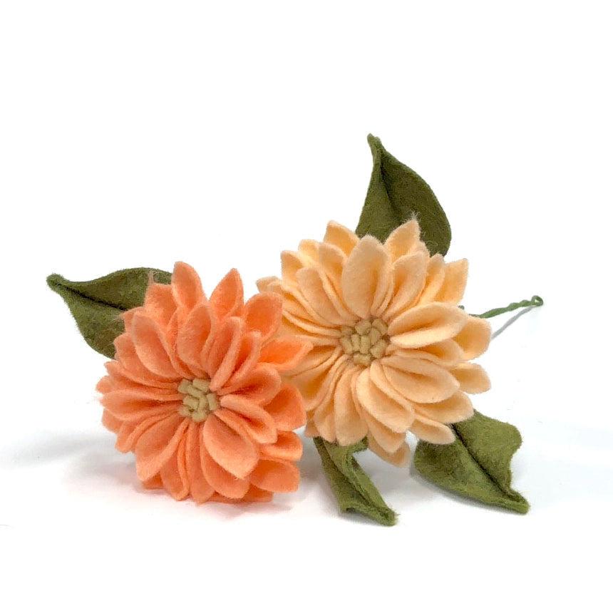 Dahlia Stem