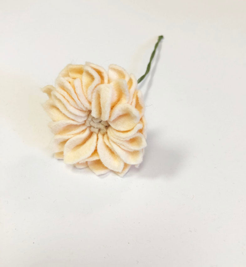 Dahlia Stem