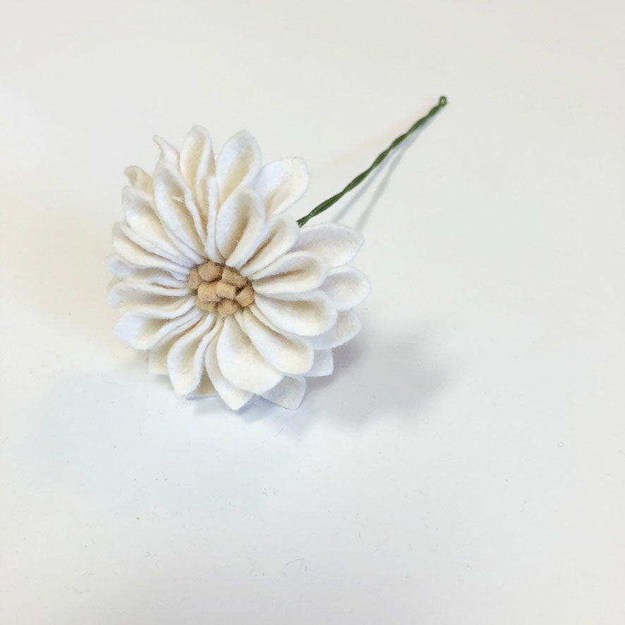 Dahlia Stem