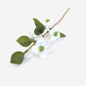 Dogwood Branch