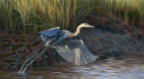 LIFT OFF giclee on canvas by Doug Grier