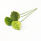 Greenery Button Stem