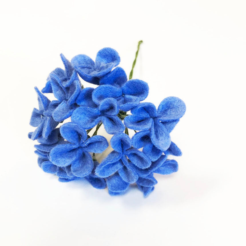 Blue Hydrangea Stem