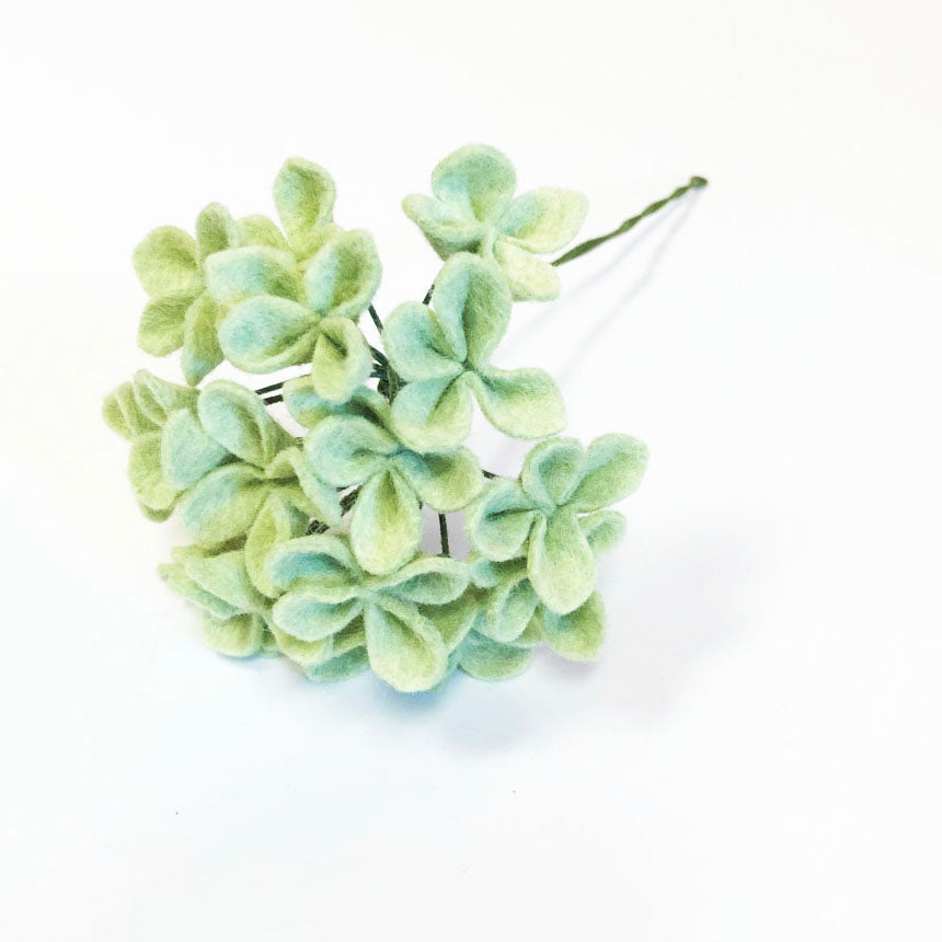Green Hydrangea Stem