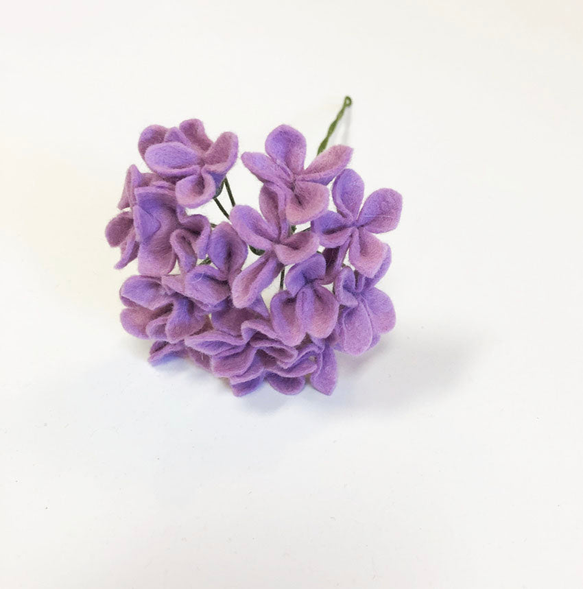 Purple Hydrangea Stem